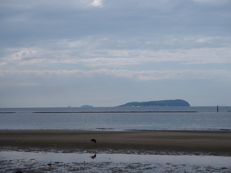 伊吹島はカタクチイワシの漁場の真ん中に位置する。水揚げされた魚をスピーディーに加工することが、「伊吹いりこ」の品質を高めた。