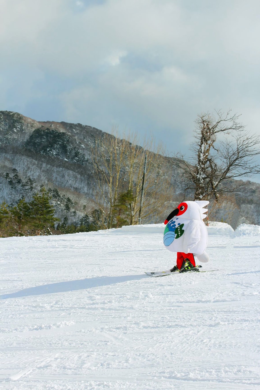 スキーを履いてゲレンデを滑るのは、トキをモデルにしたゆるキャラ「サドッキー」。🄫佐渡市役所
