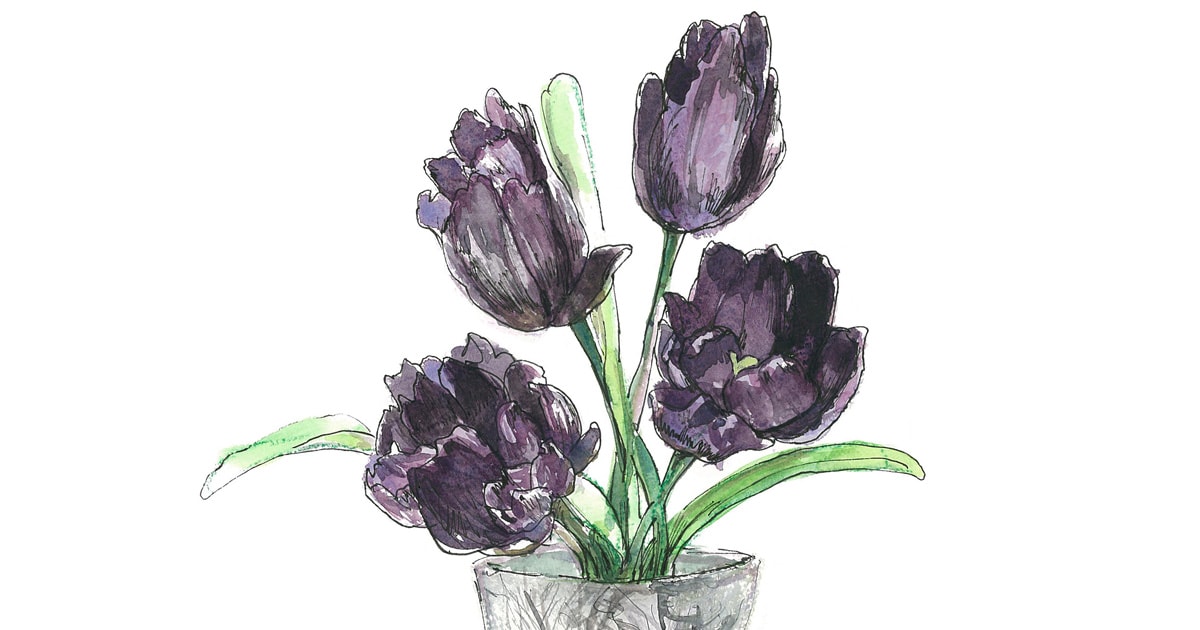 4月8日の花】ブラックチャーム 個性際立つ漆黒のチューリップ | 今日