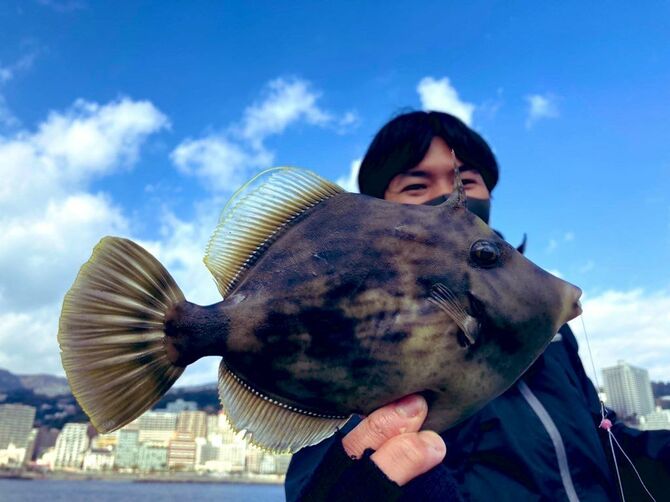 真冬でも30cm近いカワハギが釣れる
