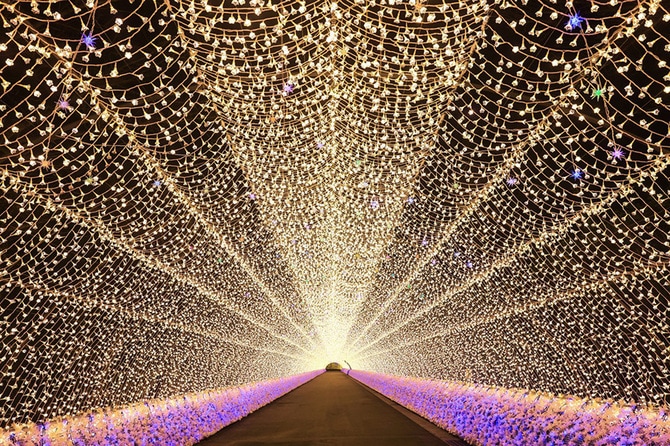 なばなの里イルミネーション。