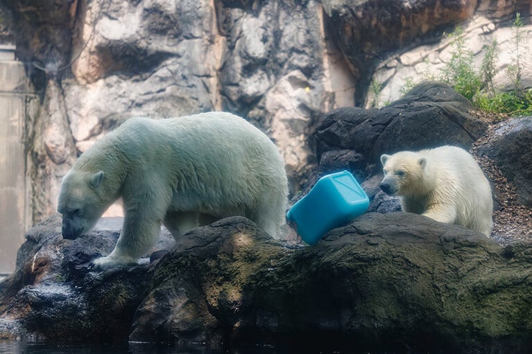 イッちゃんとライ。