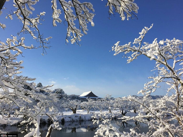 篠山城跡 大書院。写真提供：かおる