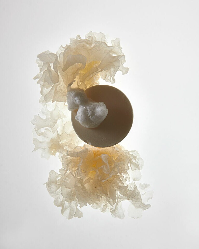 クレンジングソープ 白きくらげ、海塩 4,950円。