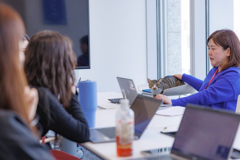 ドロンパくん、会議に参加中。