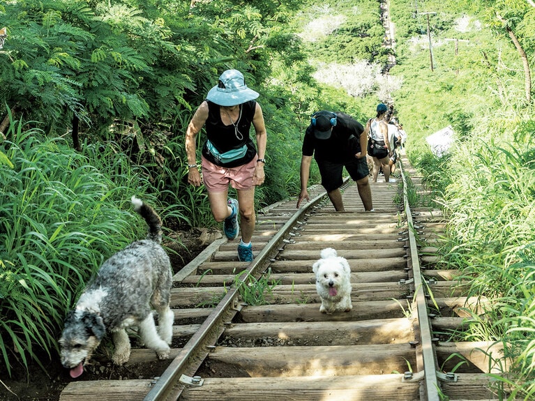 Koko Crater Tramway（ココ クレーター トラムウェイ）。元気な犬たちに次々抜かされていく。