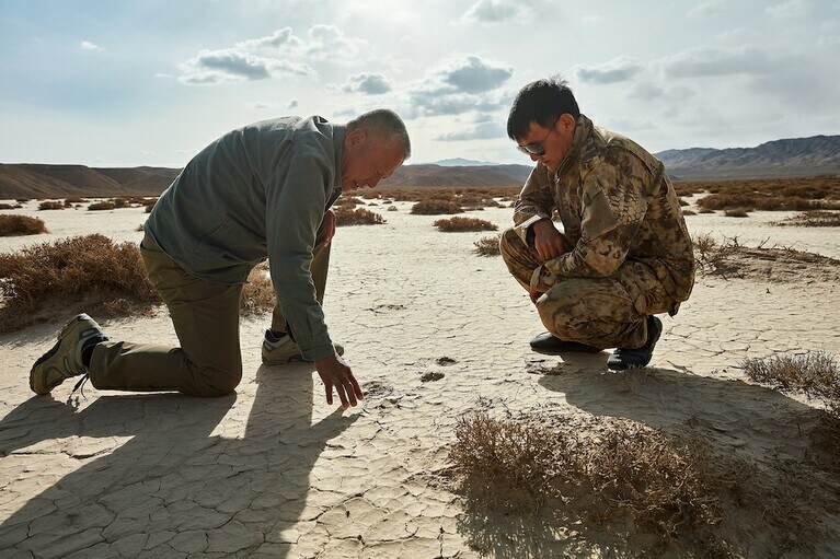 ©Rolex／Liu Xiaoxue
