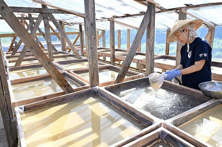 毎日数時間かけて丹念に手もみ作業。まさに手塩にかけて作られています。