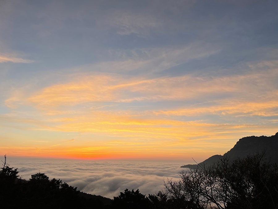 「阿里山」は日の出だけではなく、夕日と雲海の絶景も楽しめます。