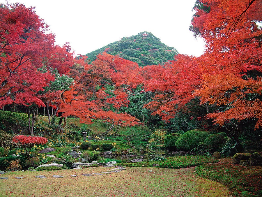 清水山一帯の紅葉。