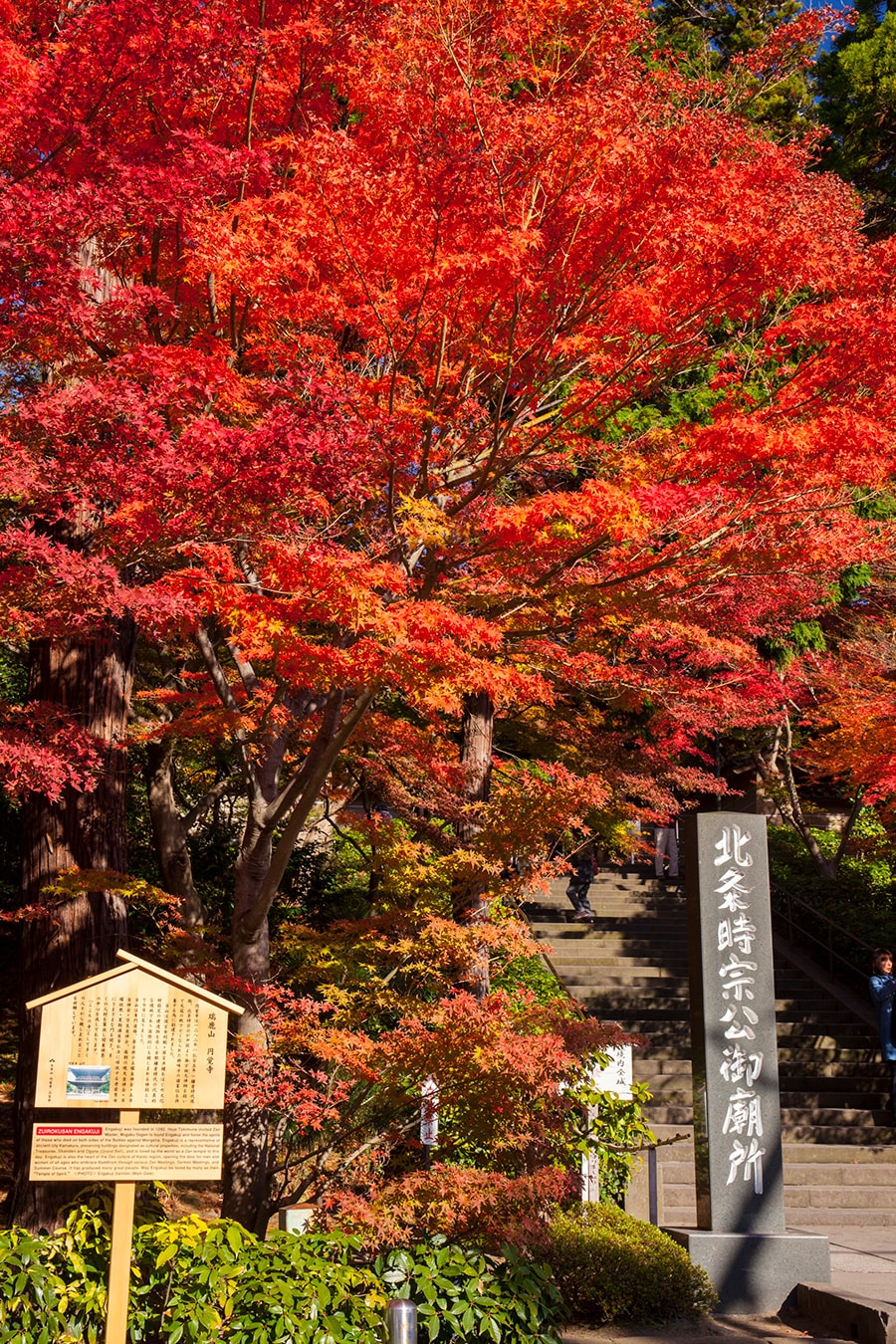 【神奈川県】円覚寺。