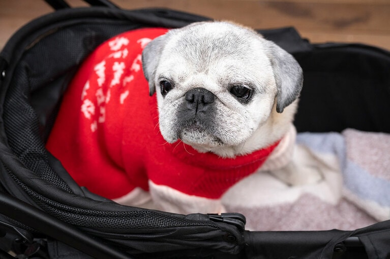 アザーカット。