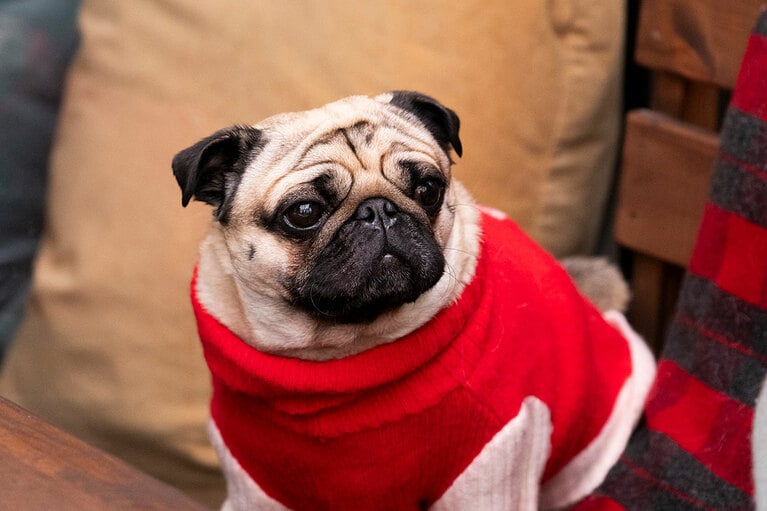 アザーカット。