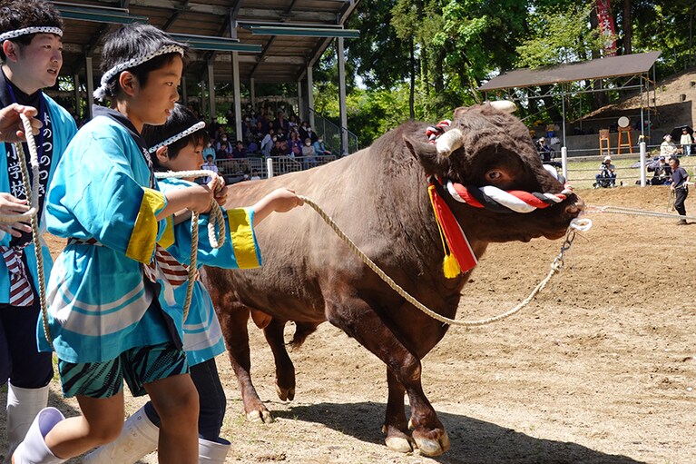 誇らしげに場内をまわる牛太郎と子供たち。