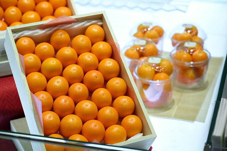 見た目にもかわいらしい金柑は贈答品にもぴったり。