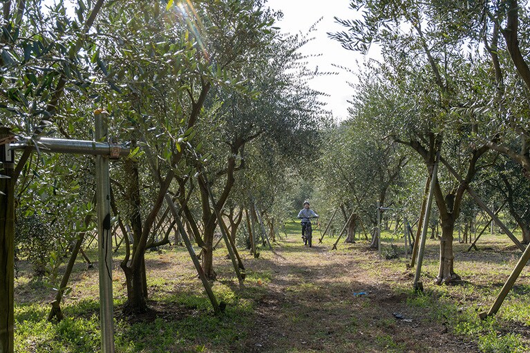 気持ちのよい光景に思わず感動の声が！