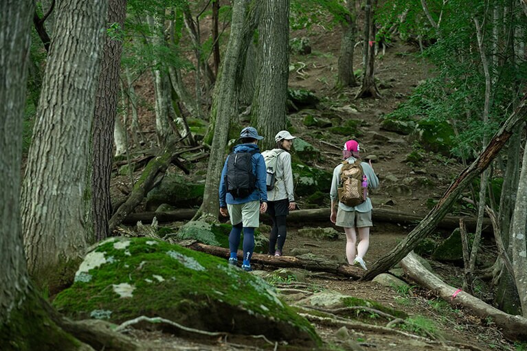 自然を感じながら一歩ずつ進みます。