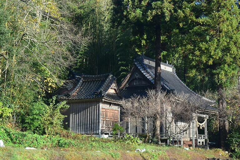 道路脇にひっそりと佇む神社。