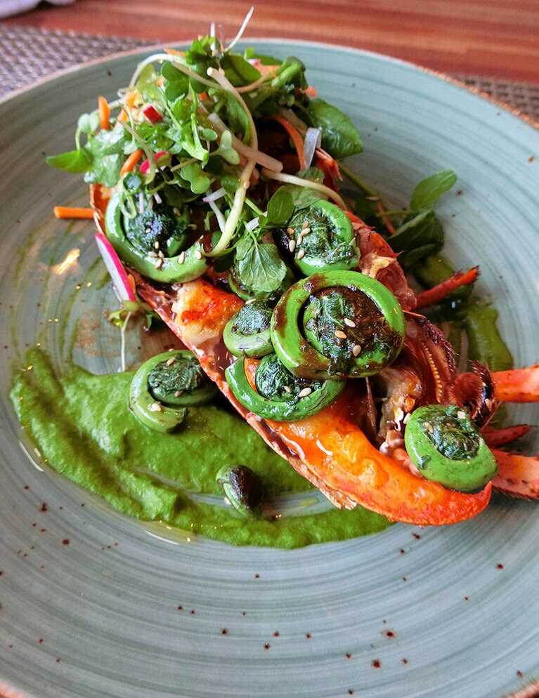 炭火焼きのロブスターを使った「Today’s Catch」。