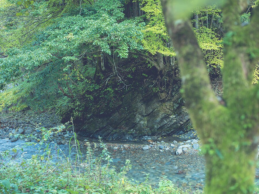 檜原村を流れる川は清らかで穏やか。ただ眺めているだけで心地よい。