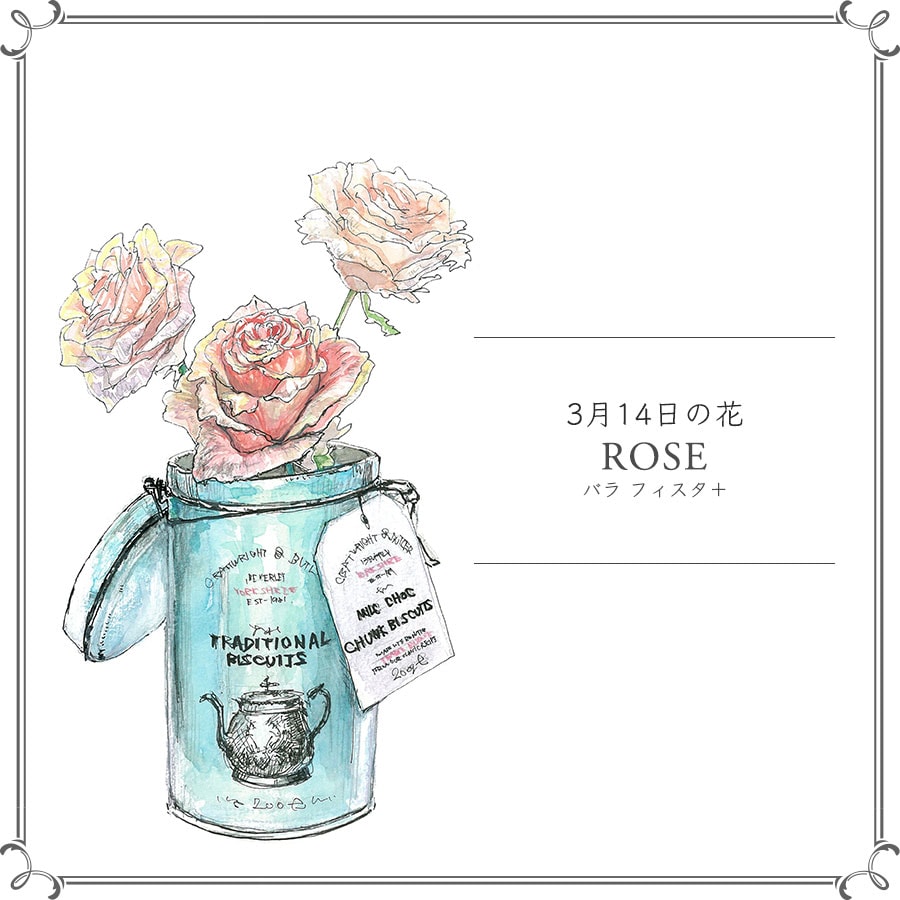 3月14日の花「バラ フィスタ＋」