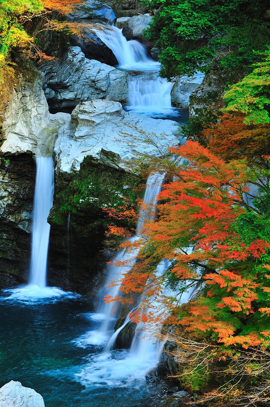 大轟の滝周辺の紅葉。