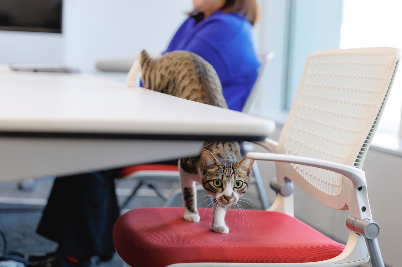 本日の執務室に到着。