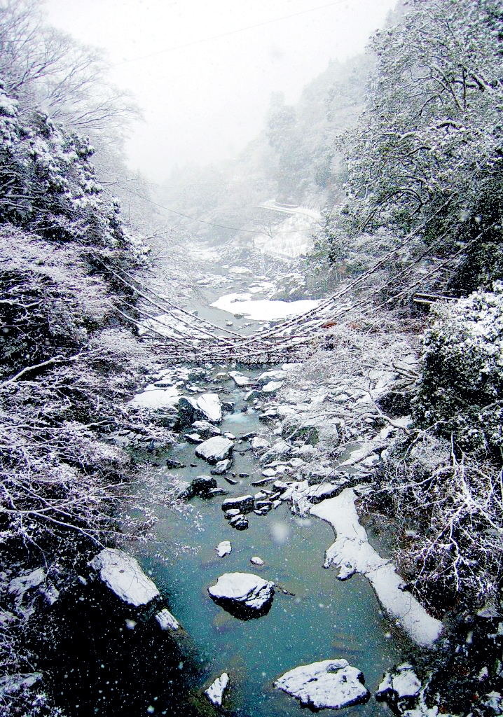 祖谷のかずら橋。