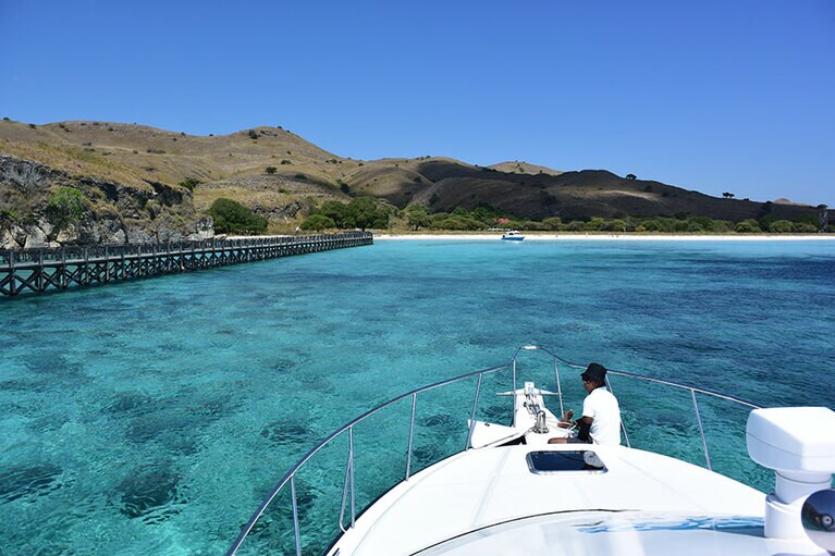 世界遺産のコモド国立公園のオイシイところを網羅した1日ツアーに参加。