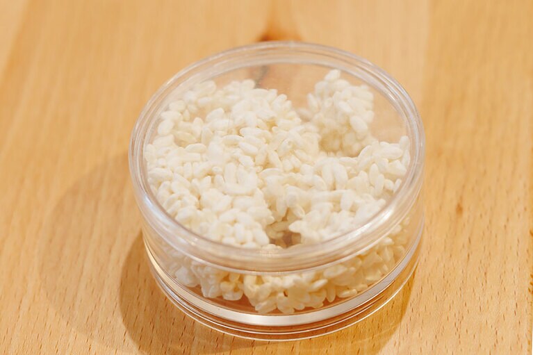 「なかじさんと学ぶ、発酵大国・新潟の魅力」イベントを開催！ 新潟県の魅力とポケット麹づくりを読者と体験！