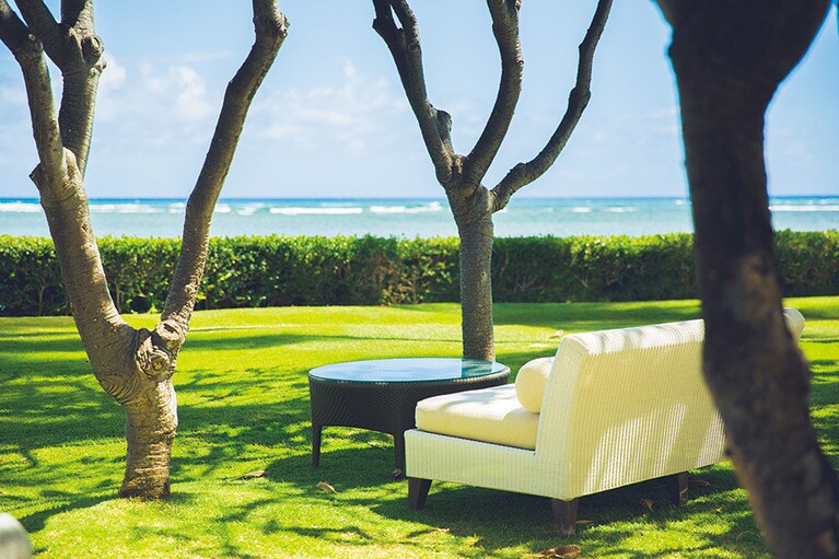 木陰のソファで読書。