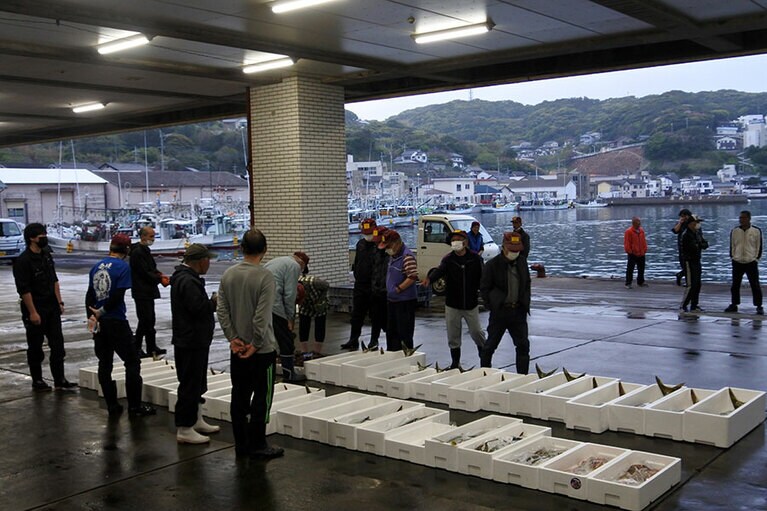 勝本漁港の競りの風景。同じ島内でも郷ノ浦地区では値段を上げていき、勝本地区は値段を上から下げていく、違うルールだそうです。