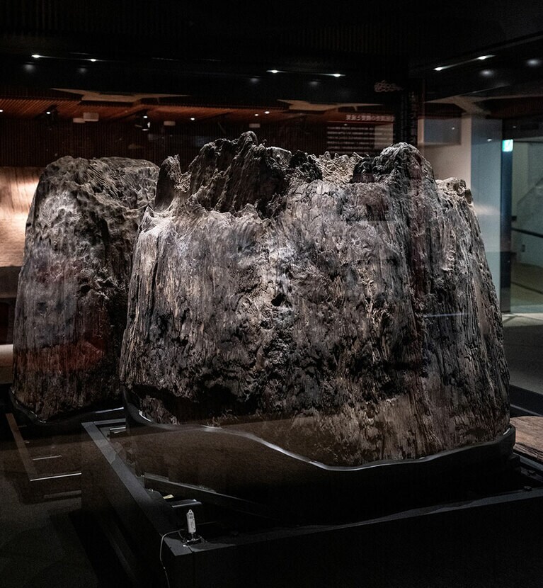 古代神殿の心御柱。