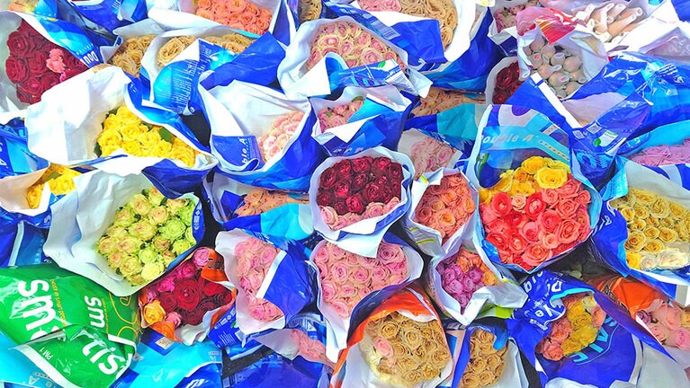 バラは水の吸収が悪いため花の頭がたれやすく、ますます水を吸わなくなってしまいます。そのため、頭が垂れてこないように紙で包まれていることが多いです。