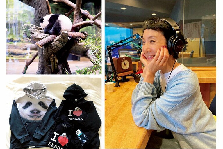 横浜でのラジオ生放送の後、上野へ移動＆パンダを補給、インドカレーを買って帰るのが、はなさんのパンダルーティン。実写パンダグッズがお気に入り。Instagram ＠hanalovestaco