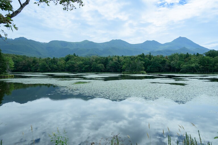知床五湖から望む知床連山。一番右が日本百名山のひとつ、羅臼岳（標高1,661m）。