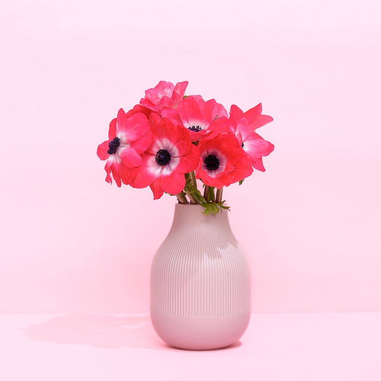 花びらに見える部分は実はガク。ガクが透けていない新鮮なものチョイスしましょう。