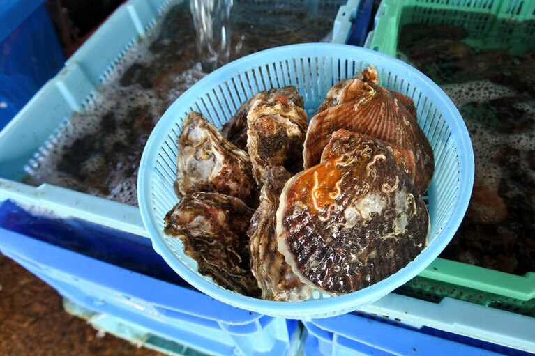 1,000円で、こちら。渡島半島の乙部町とは反対側の知内町の牡蠣は、ミネラルたっぷり。