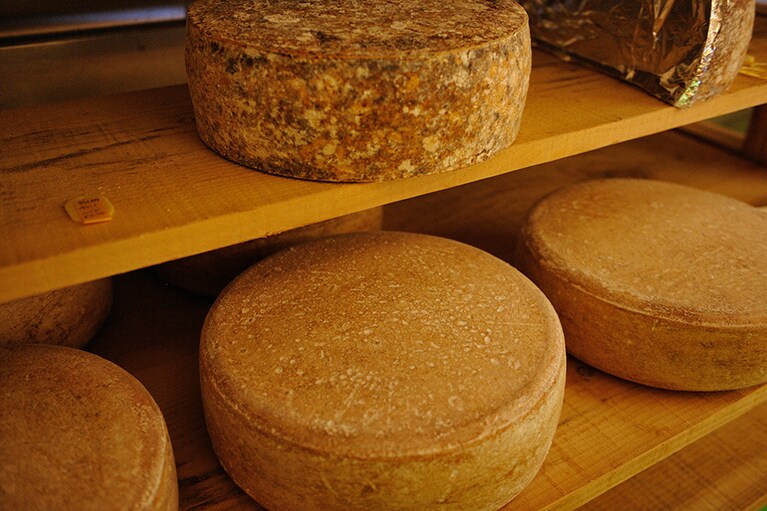 熟成庫で眠るチーズ。