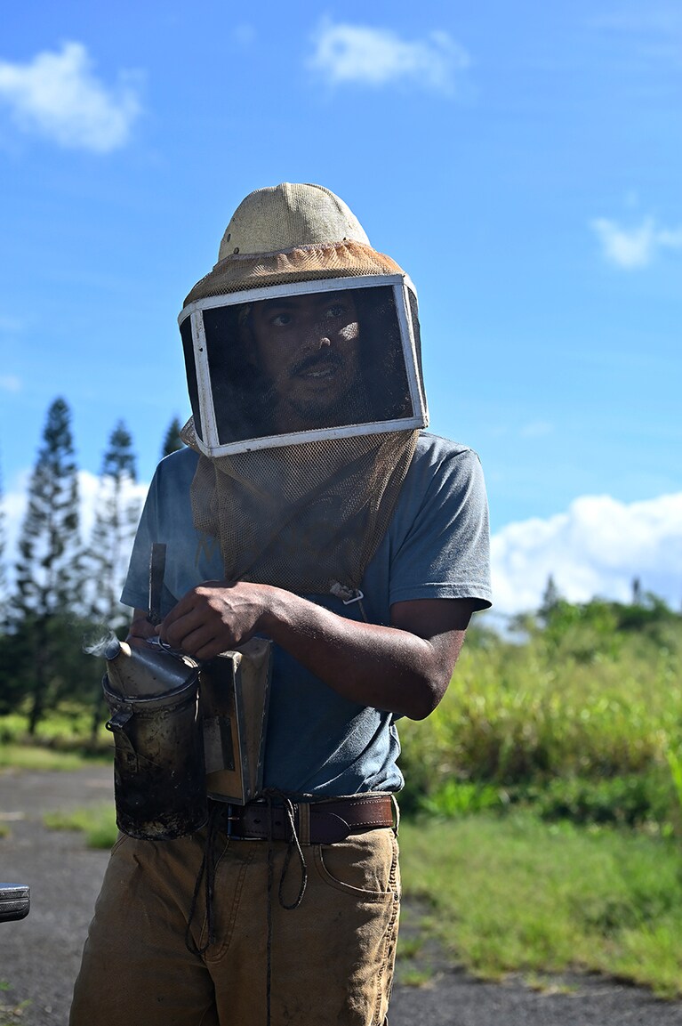 ビーキーパーの案内で巣箱を見学。