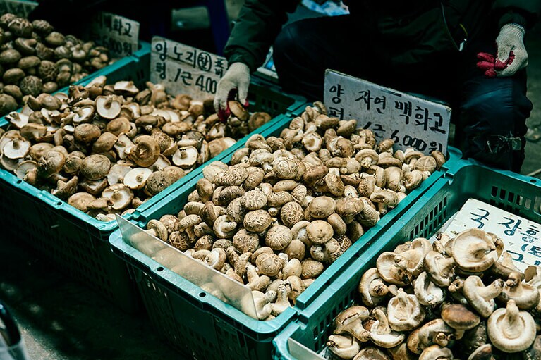 韓国でポソッと呼ばれるしいたけの種類も豊富。