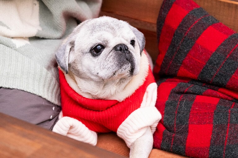 アザーカット。