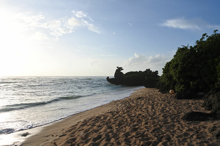 うなりざき公園展望台から藪を抜けてアプローチする隠れ家ビーチ「ぜんべえの浜」
