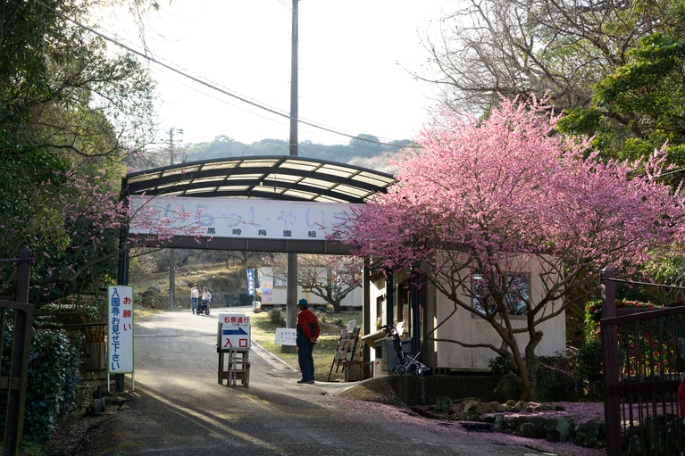 《早春の絶景散歩》紅白の梅の先には瀬戸内海、園内には古墳も！西日本随一の梅の名所「綾部山梅林」へ【兵庫県】