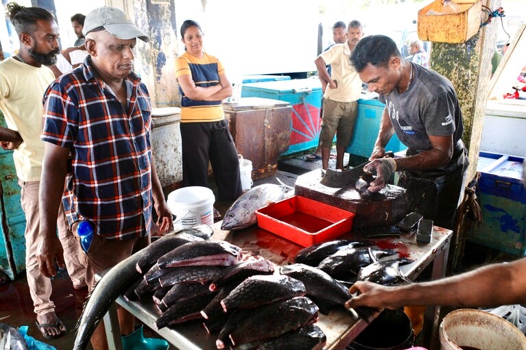 朝のフィッシュマーケットは威勢のいい声が響きものすごい活気。