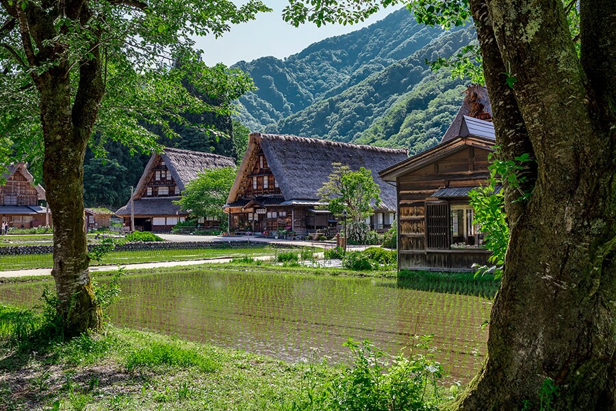 集落には日本古来の自然と調和した暮らしが残っています。（Airbnb提供）