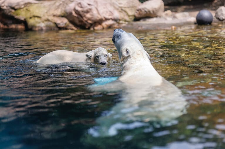 イッちゃんとライ。