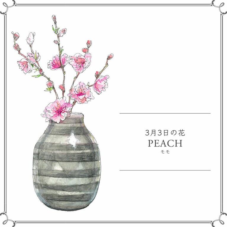 3月3日の花「モモ」