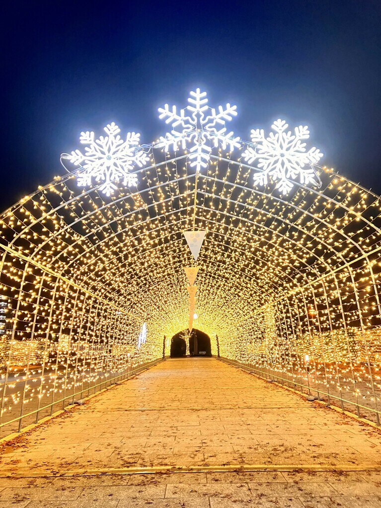 もりおかイルミネーションブライト。