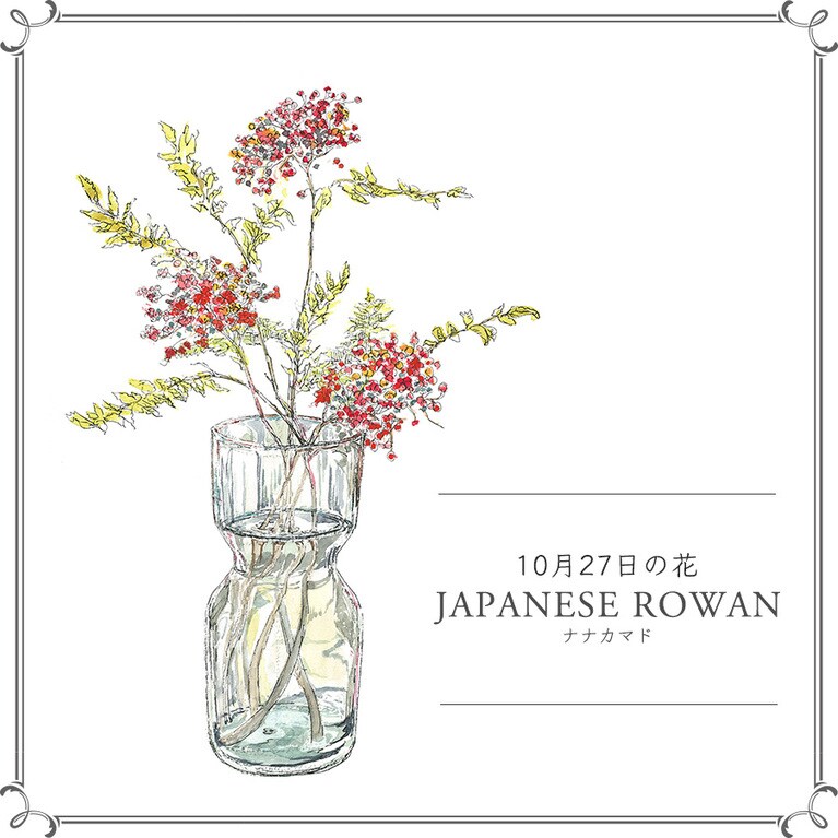 10月27日の花「ナナカマド」